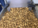 Almond nuts - фото 1