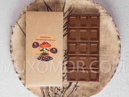 Amanita vegan chocolate 100 g - 15 bars of 1 g of amanita / Мухоморний веган шоколад 100 г