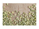 Arabica coffee premium quality beans for gourmet coffee production - photo 1