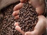Arabica Green Beans Fully Washed Process S18 Commercial Grade 2 - photo 1