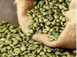 Freshly Roasted Organic Arabica Coffee Beans Fast Delivery in Stock Sale Price Original - photo 2