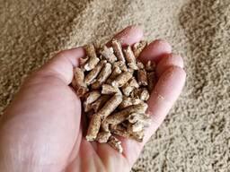 Biomass Pellet Fuel Pine Wood Pellet
