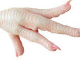 Chicken - photo 1