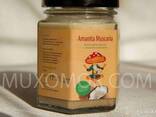 Coconut oil with amanita 200 ml (6 g amanita) / Кокосова олія з мухомором 200 мл