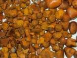 Cow ox gallstone for sale - фото 1