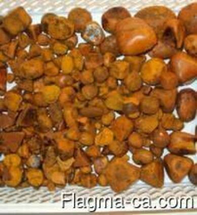 Cow ox gallstone for sale
