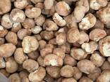 Dried mushrooms, caps and powder - фото 3