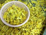 Freeze dried fruits wholesale - фото 5