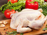 Halal - Frozen Chicken, Thigh, Back quarter, Wings , Fillet IPBF , IQF, BF. Ukraine !! - photo 2