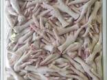 High Quality Chicken Paws/Wholesale Frozen Chicken Feet for Sale at Best Price - photo 2