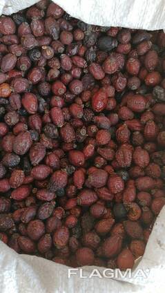 Лекарсвенные растения (сырье)