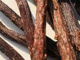 Licorice Root (Glycyrrhiza glabra) - фото 7