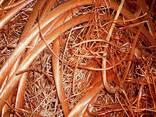 Quality Copper Wire Scrap Copper Scrap 99.99% for sale at moderate prices to Europe - фото 1