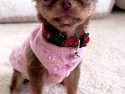 Ready to take home now!