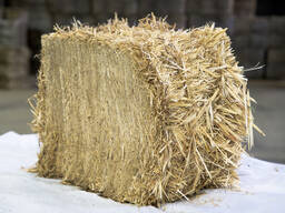 Shredded Wheat Straw