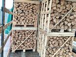 We produce Firewood - фото 2