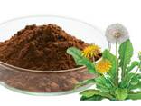 Wholesale Supply of Herbs, Roots &amp; 10:1 Extracts from Ukraine - photo 2